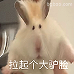 拉起个大驴脸
