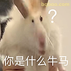 你是什么牛马