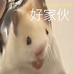 好家伙仓鼠表情