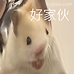 好家伙仓鼠表情