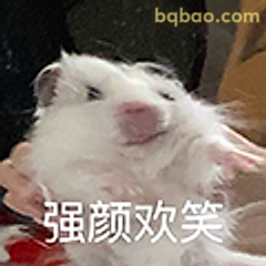 强颜欢笑仓鼠