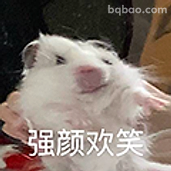 强颜欢笑仓鼠