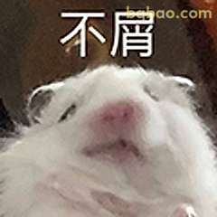 仓鼠不屑脸