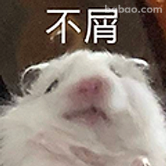 仓鼠不屑脸