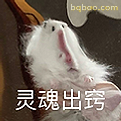 灵魂出窍