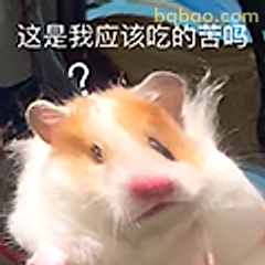 这是我该吃的苦吗