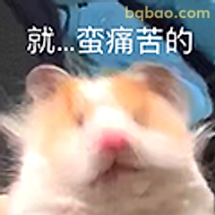 就...蛮痛苦的