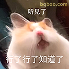 仓鼠听见了行了知道了