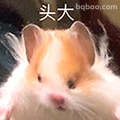 头大仓鼠