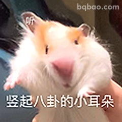 竖起八卦的小耳朵