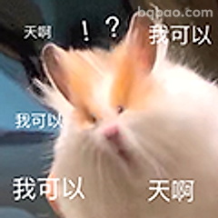 我可以天啊表情包