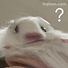 兔子一脸问号