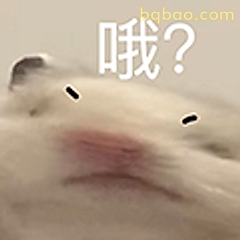 哦?仓鼠疑惑脸