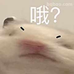 哦？仓鼠疑惑脸