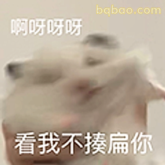 看我不揍扁你