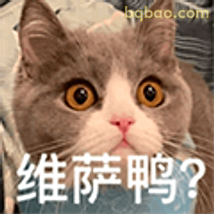 维萨鸭?