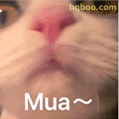 Mua～猫咪亲亲