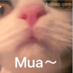 Mua～猫咪亲亲