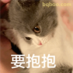 要抱抱的小奶猫
