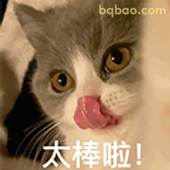 猫咪舔舌太棒啦