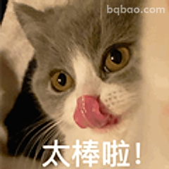 猫咪舔舌太棒啦