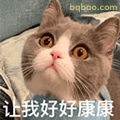 让我好好康康