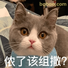 侬了该组撒？