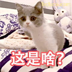 这是啥？