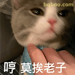 哼莫挨老子