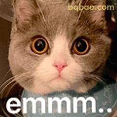 猫咪emmm…