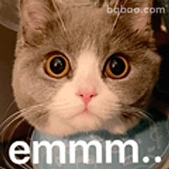 猫咪emmm…
