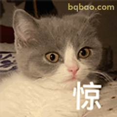猫咪惊到瞳孔地震