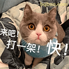 来吧打一架快!