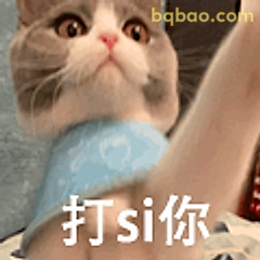 打si你