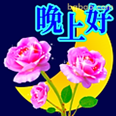 晚上好玫瑰月夜