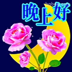 晚上好玫瑰月夜