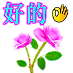 好的+玫瑰花