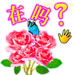 在吗？玫瑰蝴蝶版