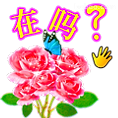 在吗？玫瑰蝴蝶版