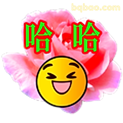 哈哈大笑表情包