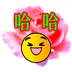 哈哈大笑表情包