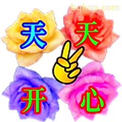 天天开心玫瑰花
