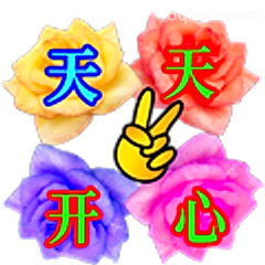 天天开心玫瑰花