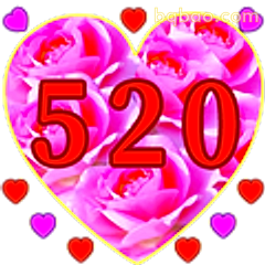 520爱心玫瑰