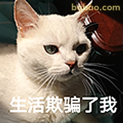 生活欺骗了我