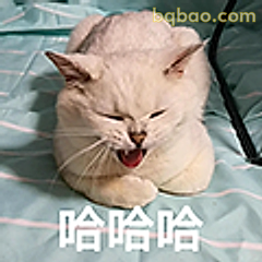 猫主子哈哈大笑