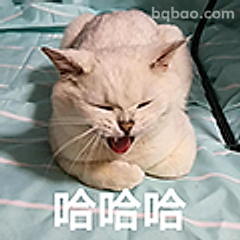 猫主子哈哈大笑