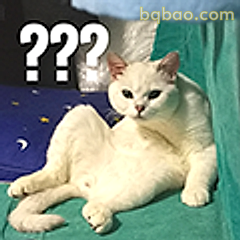 猫咪一脸问号