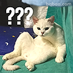 猫咪一脸问号