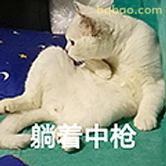 躺着中枪